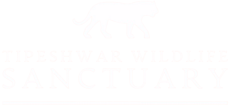 Tipeshwar Wildlife Sanctuary
